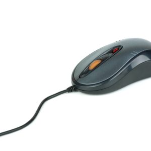 Ratones