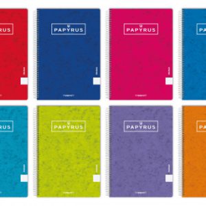 CUADERNO TAPA CONTRACOLADA UNICLASIC FOLIO 80 HOJAS 90GR. 4X4 COLORES SURTIDOS PAPYRUS 88441099