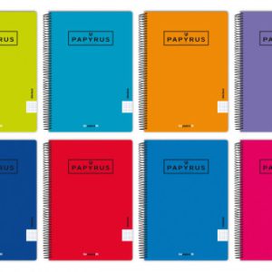 CUADERNO TAPA POLIPROPILENO EXTRADURA UNICLASIC FOLIO 80 HOJAS 90GR. 4X4 COLORES SURTIDOS PAPYRUS 88442099