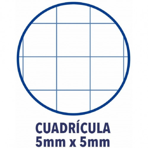BLOC ENCOLADO COLOR 1 TAPA BLANDA A4+ 80 HOJAS 5X5 COLOR ROSA CHICLE OXFORD 400123681 - Imagen 3