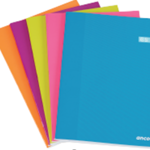 LIBRETA A5 CST 48 HOJAS 60G Q4X4 ST ANCOR 061987