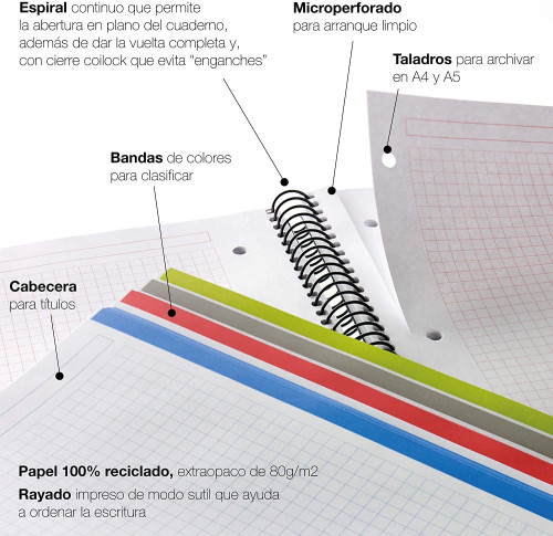 CUADERNO 100% RECICLADO NB-4 A4 120HOJAS TAPAS POLIPROPILENO MIQUELRIUS 6038 - Imagen 5