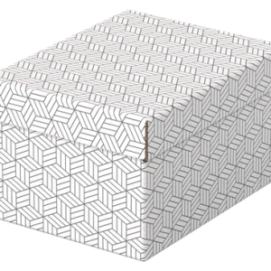 PACK 3 CAJAS BLANCAS 255X200X150MM ESSELTE 628280