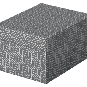 PACK 3 CAJAS GRISES 255X200X150MM ESSELTE 628281