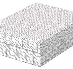 PACK 3 CAJAS BLANCAS 360X265X100MM ESSELTE 628284
