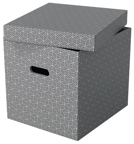 PACK 3 CAJAS GRISES 365X320X315MM ESSELTE 628289 - Imagen 2