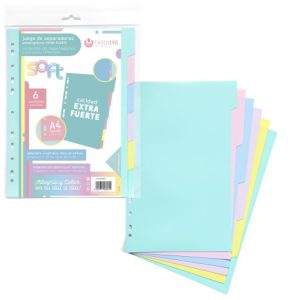 JUEGO SEPARADORES POLIPROPILENO PASTEL EXTRA FUERTE 6 POSICIONES CARCHIVO 49060699