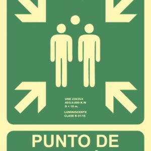 SEÑAL "PUNTO DE REUNIÓN" 224X300 PVC VERDE ARCHIVO 2000 6170-07H VE