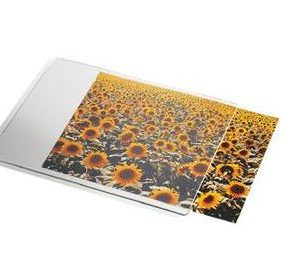 ALFOMBRILLA PERSONALIZABLE DATALINE PARA RATON ESSELTE 67691