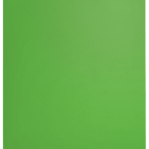 CARPETA POLIPROPILENO CON 40 FUNDAS A4 RECYCLE VERDE LEITZ 46770055