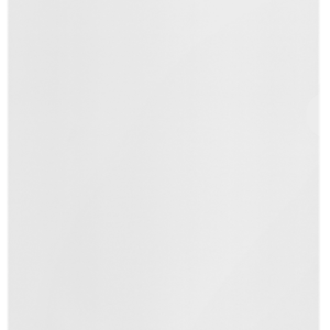 CAJA 100 DOSSIERES UÑEROS POLIPROPILENO TRANSPARENTE PIEL NARANJA A4 RECYCLE 100 MICRAS ESSELTE 627496