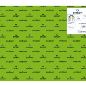 PACK 25 HOJAS CARTULINA IRIS 50X65 185G VERDE BILLAR CANSON C200040238