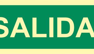 SEÑAL "SALIDA" HOMOLOGADA 300X105MM POLIPROPILENO FOTOLUMINISCENTE ARCHIVO2000 6170-22H VE