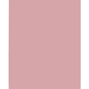SUBCARPETAS SIMPLES PASTEL 180 GRS A4 COLOR ROSA GIO 400173316