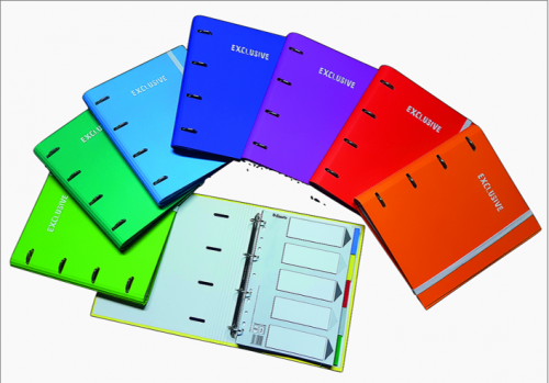 CARPETA SERIE EXCLUSIVE CARPEBLOCK A4 4 ANILLAS MIXTA 35MM + RECAMBIO 120H. 5X5 GRECA 8 COLORES SURTIDOS PACSA 25007