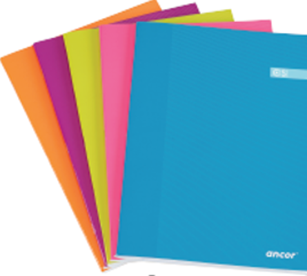 LIBRETA FOLIO CST 48 HOJAS 60G Q4X4 ST ANCOR 061291