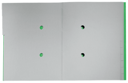 CARPETA CLASIFICADORA DE CARTON 12 POSICIONES A4 RECYCLE 100% VERDE LEITZ 39150055 - Imagen 3