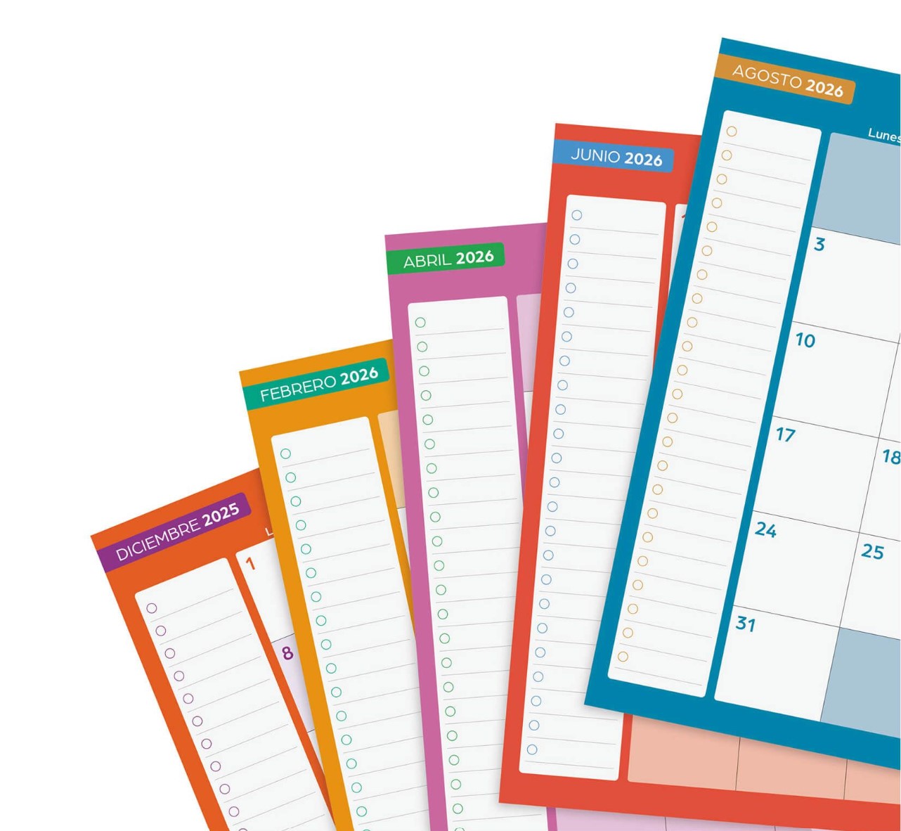 AGENDA ESCOLAR 2025-2026 CURSO COSMO 4ยบ 155X212 1DIA PAGINA AQUA+ FINOCAM 537070426 - Imagen 2