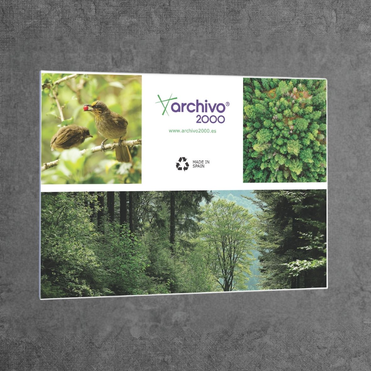 PORTAFOLLETOS MURAL PREMIUM A5 HORIZONTAL ADHESIVO 210x150MM ARCHIVO 2000 6155ACSTP - Imagen 2
